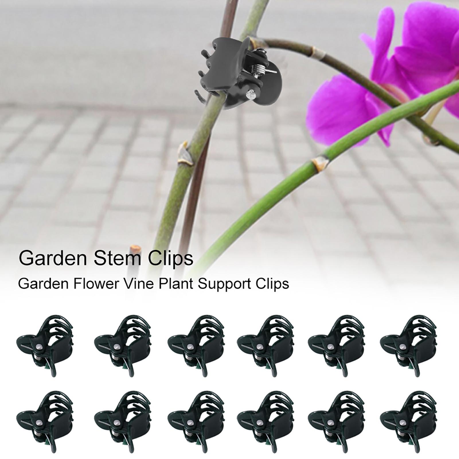 100 stks Mini Plant Clips Tuin - Florist Supply Bulk recensie en prijs